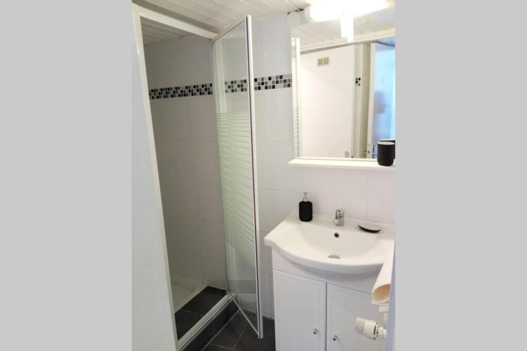 שטרסבורג Appartement Cosy Rue Sainte Madeleine מראה חיצוני תמונה